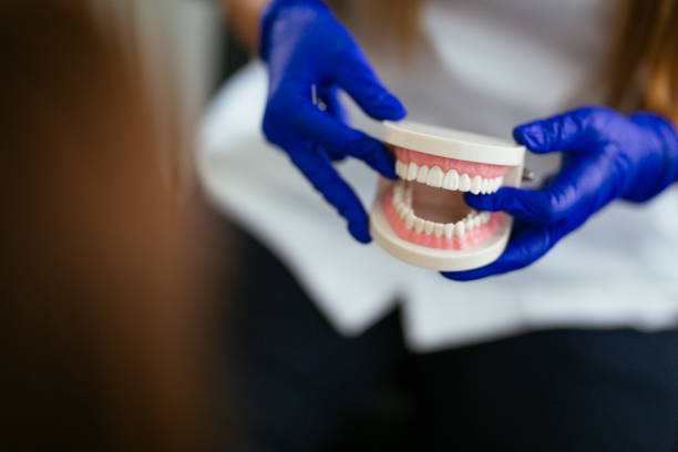 Reliable Orange City, IA Dental Services Solutions